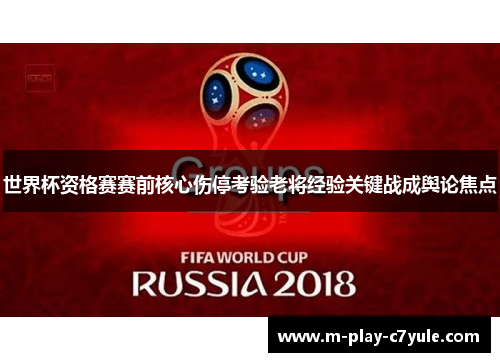 世界杯资格赛赛前核心伤停考验老将经验关键战成舆论焦点