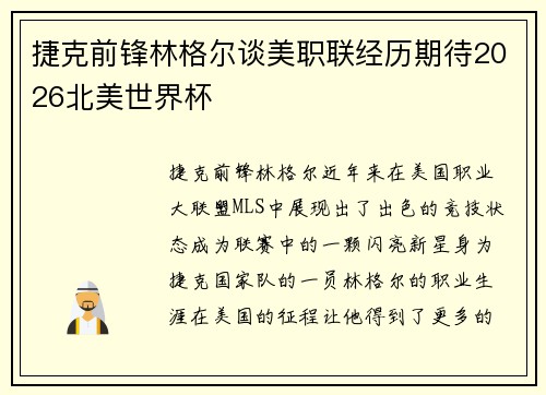 捷克前锋林格尔谈美职联经历期待2026北美世界杯 捷克前锋林格尔谈美职联经历期待2026北美世界杯